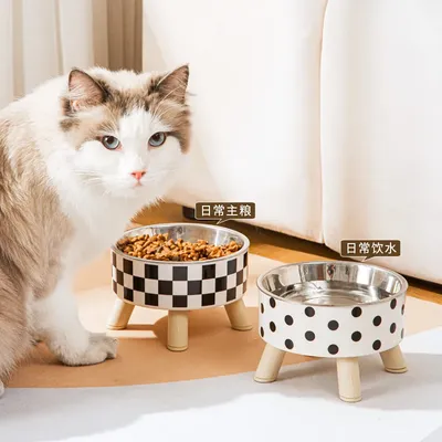 Erhöhter Futternapf für Katzen, Anti-Erstickungs-Wassernapf für Katzen, mit Ständer, Futternapf für Image