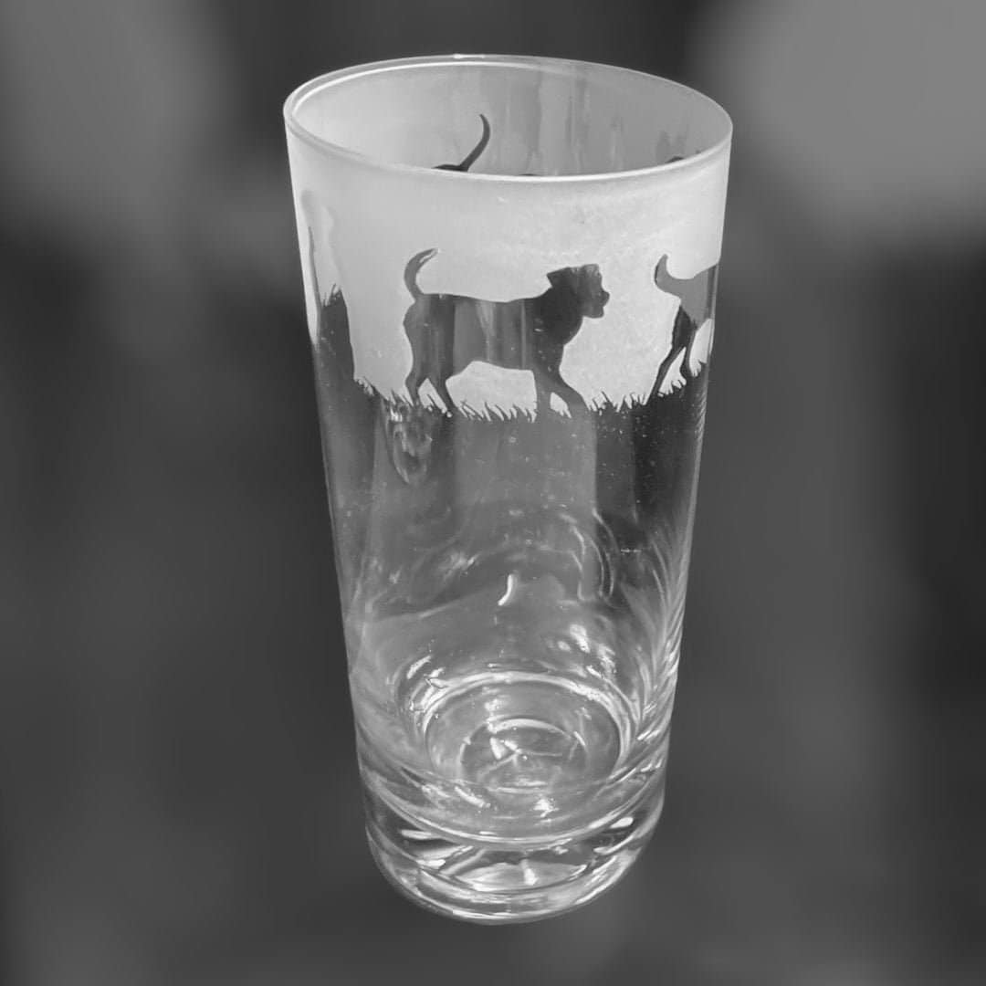BICCHIERE LABRADOR - Bicchiere alto da 37 cl con motivo fregio Labrador Retriever / Bicchiere per acqua / Bicchiere per long drink / Bicchiere per mix