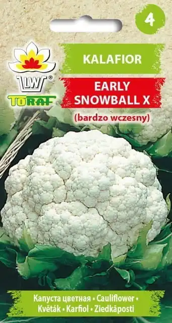 Blumensamen Early Snowball X 1g Gemüseblumensamen Image