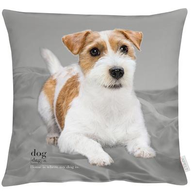 Kissenhülle APELT "Alfi", grau (grau, natur), B:46cm L:46cm, Polyester, Baumwolle, Obermaterial: 70% Polyester, 30% Baumwolle. Füllung: 100% Polyester, Kissenbezüge Image