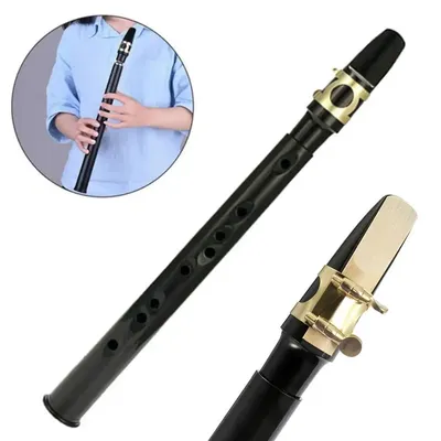 Mini Pocket Saxophone C Key Sax Woodwind Instrument with Carrying Bag Portable Little Saxophone Sax