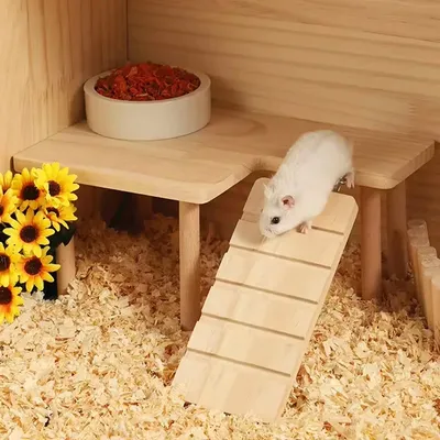 Hamster Wooden Ladder Platform Jumping Board Playground Hamster Climbing Toy Small Pets Stairs Toy