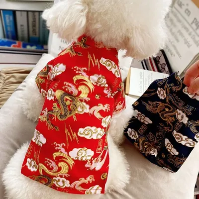 Pet+Costumes