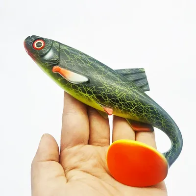 Fishing+Gear