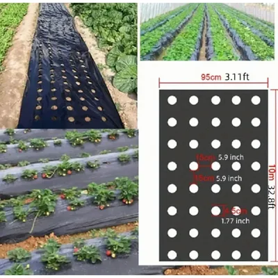 Grow Your Vegetables with Our High-Quality Black Plastic MulchFilm - Perfect for Greenhouses and
