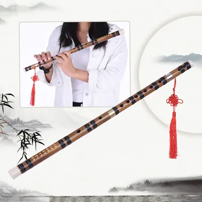 Pluggable Handmade Bitter Bamboo Flute/Dizi Traditional Chinese Musical Woodwind Instrument in E Key