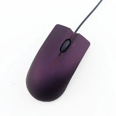 Computer+Gaming+Software