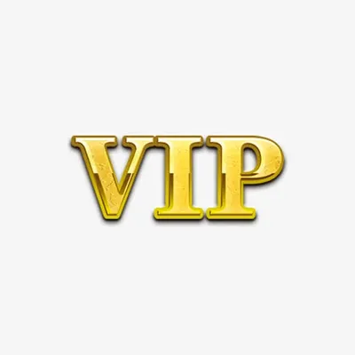 VIP Customer Pay LINK