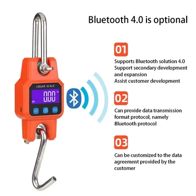 WeiHeng C06 Portable Electronic Hook Scale Charging Bluetooth Mini Lifting Scale For Household Use