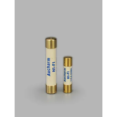 1pcs HIFI Silver Gold-plated Alloy Fuse Audio Preamp Amplifier Tube Amp Fuse 5x20mm 6x32mm 0.5A-15A