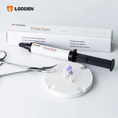 Lodden Dental Firing Paste Resin Sintering Paste For Veneer Crown Bridge Restoration Sintering Fix