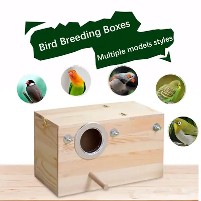 Bird+Supplies