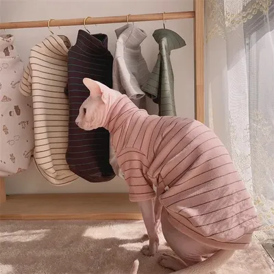 Soft Undercoat for Cats Sphynx Cat Clothing in Spring Warm Fleece Striped Jumpsuit for Kittens Dogs