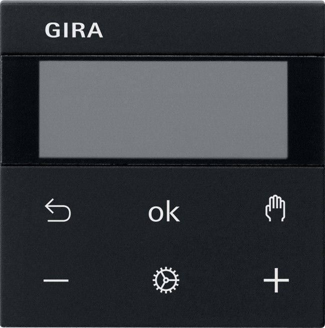 Gira RTR Display 5393005 Image