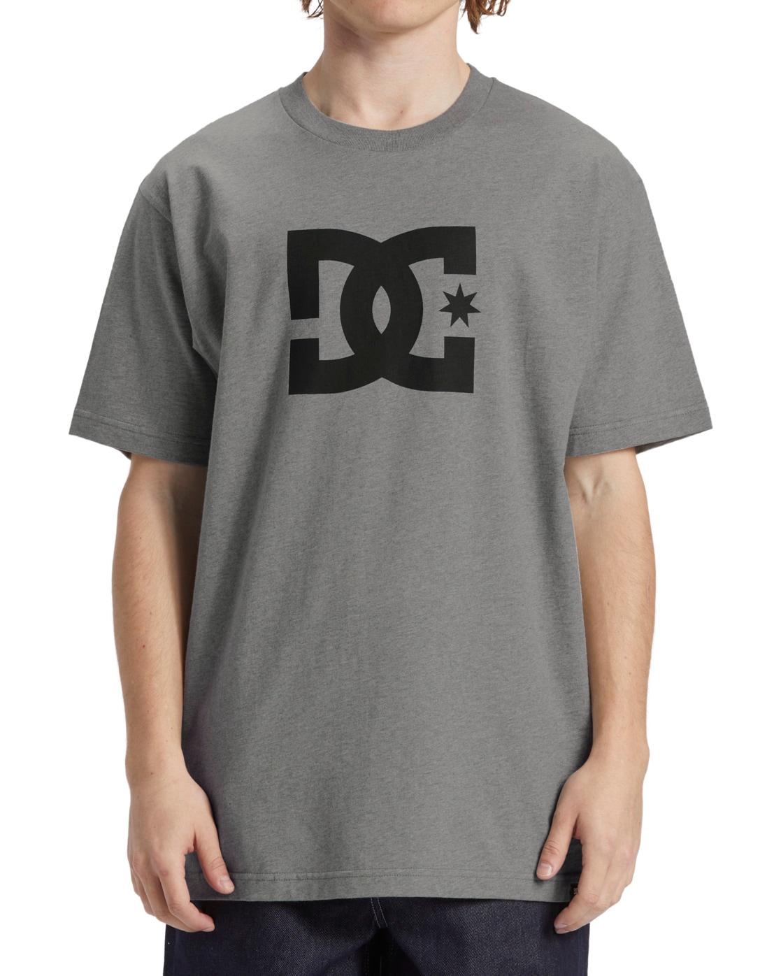 T-Shirt DC SHOES "DC Star", Herren, Gr. L, grau (erdgrau), 75% Baumwolle, 25% Baumwolle, Shirts T-Shirt