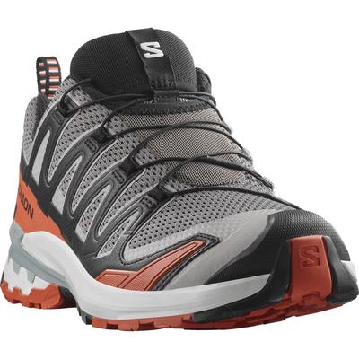 Trailrunningschuh SALOMON "XA PRO 3D V9", Gr. 42, castlerock, schwarz, burnt ochre, Synthetik, Textil, sportlich, Schuhe