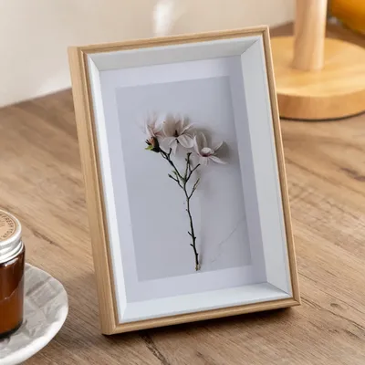 Picture+Frames
