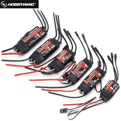 Hobbywing Skywalker 40A 50A 60A 80A 15A 20A 30A 100A 120A V2 ESC Speed Controller With UBEC For RC