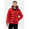 Winterjacke CIPO & BAXX "Jacke", Herren, Gr. M, rot, 100% Polyester, unifarben, casual, regular fit normal, Langarm, Jacken, im Steppdesign