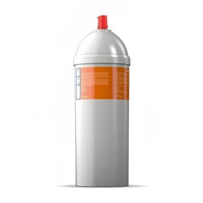 Doregrill PROFESSIONAL WATER FILTER Water Filter for STEAMBOX & NEOBOX
