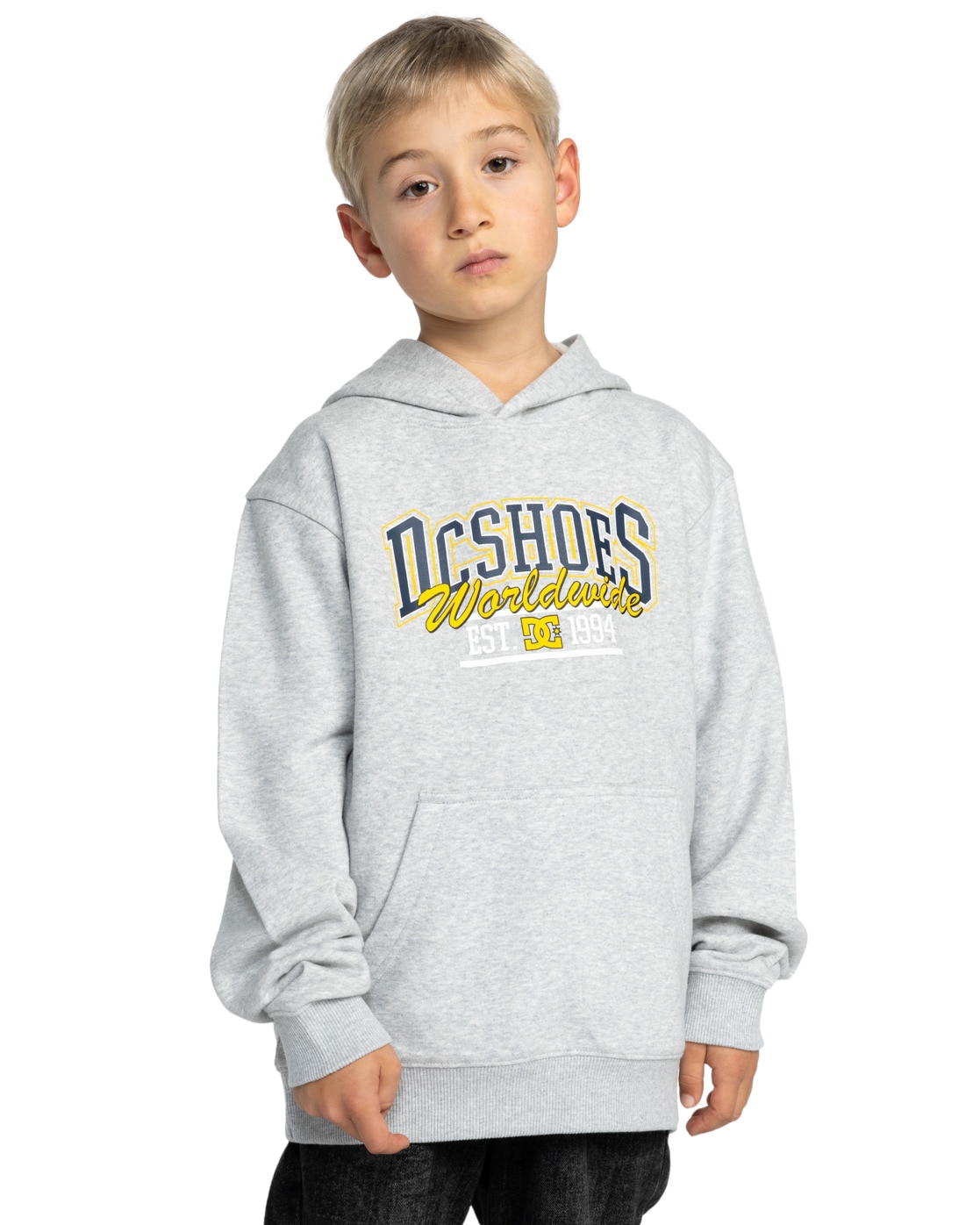 Hoodie DC SHOES "Tailgate Ph", Kinder, Gr. 14(155-164cm), grau (light erdgrau), 55% Baumwolle, 25% Baumwolle, 20% Polyester, Sweatshirts Image