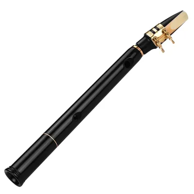 HiXing C Key Mini Pocket Saxophone Sax ABS Material with Mouthpieces 10pcs Reeds Carrying Bag