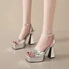 Frauen Schuhe Mit Hohen Absätzen Silber Französisch Stil Hochhackigen Sandalen Schuhe für Frauen