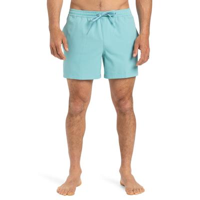 Boardshorts QUIKSILVER "Everyday Flex Volley 15", Herren, Gr. L, blau (marine blau), 95% Polyester, 5% Elasthan, Hosen Image