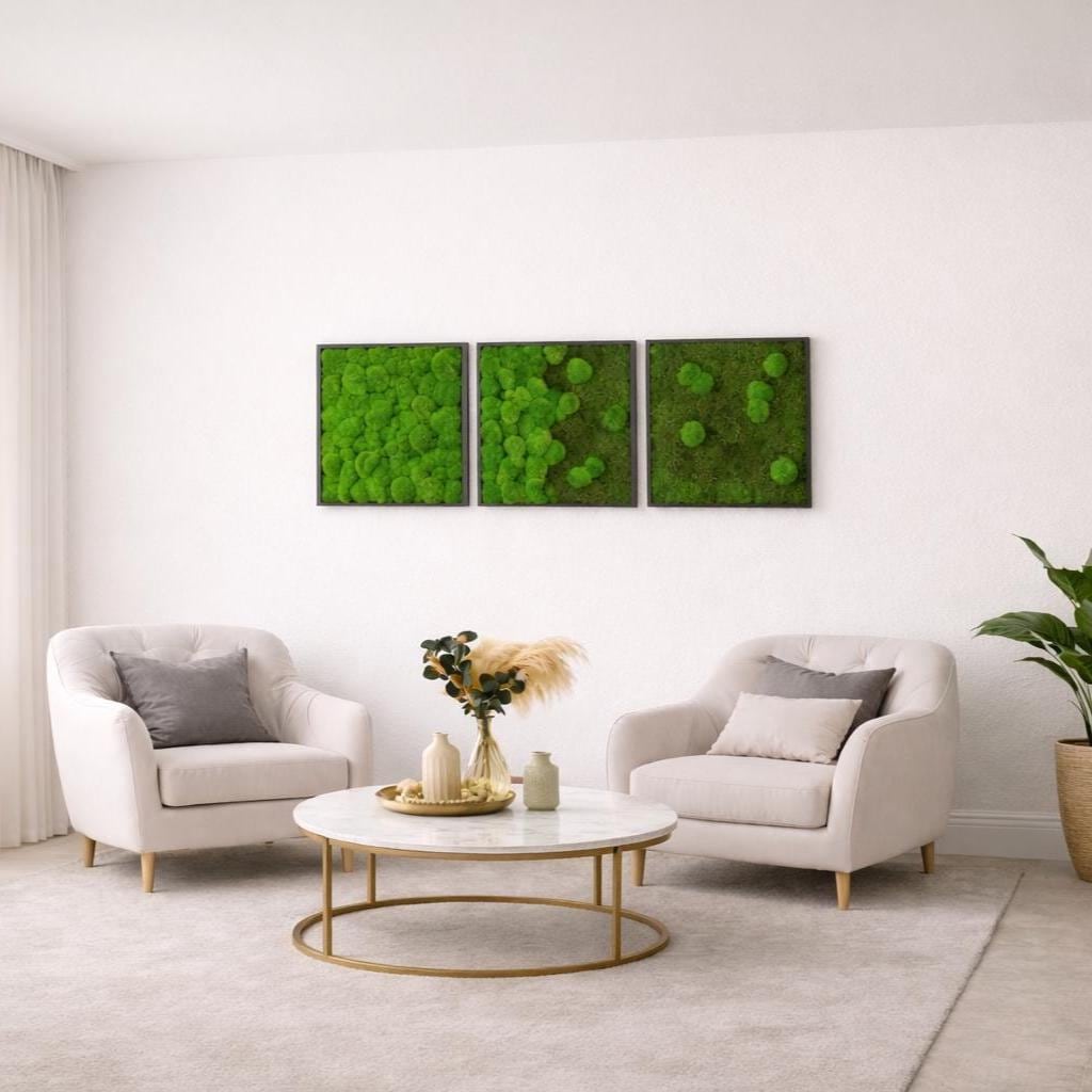 Quadro di muschio | Set di quadri di muschio | Set di 3 quadri di muschio | Set di 3 quadri da parete | Set di 3 quadri | Quadri da parete per l'uffic