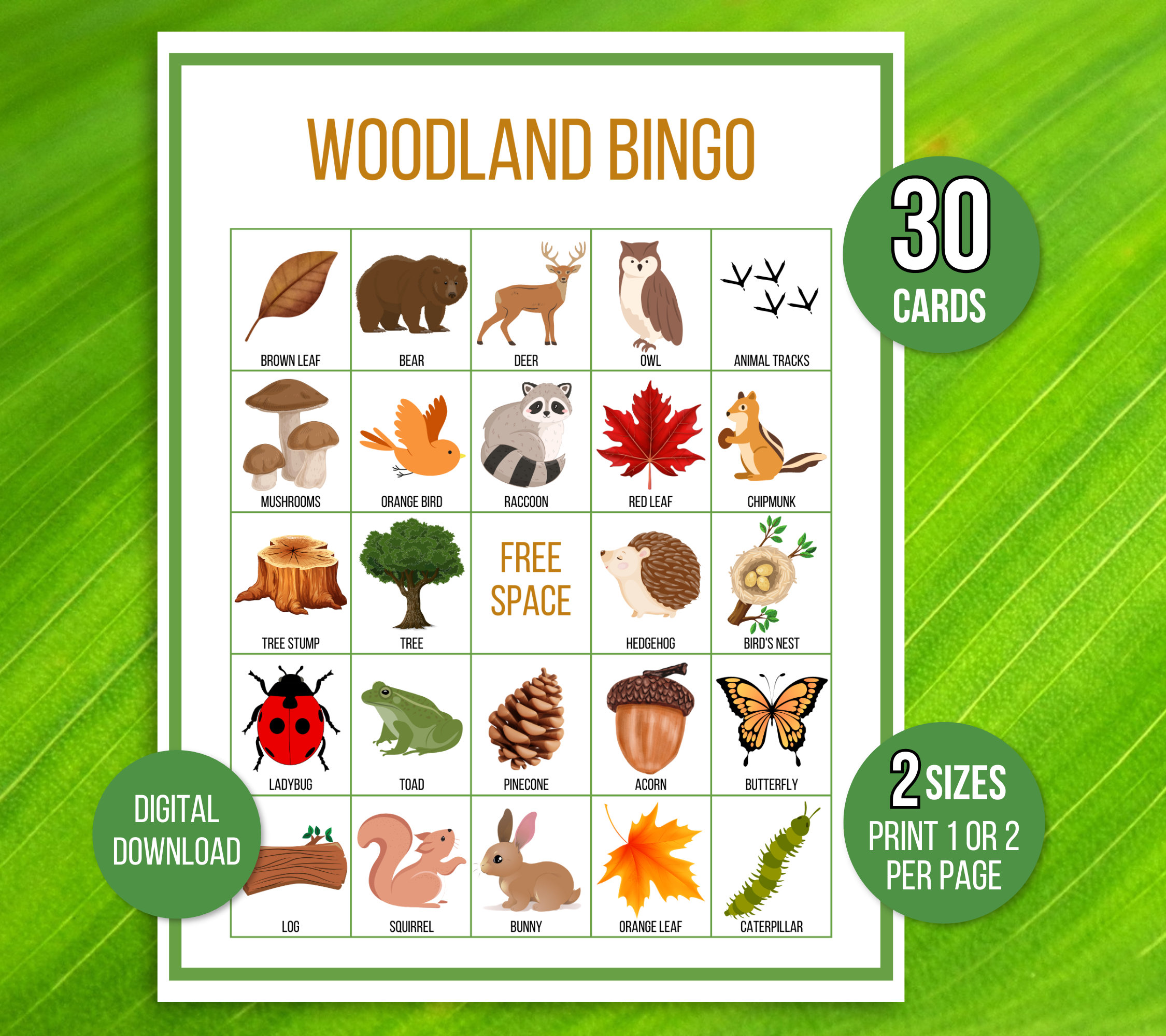 Bingo del bosco, 30 cartelle del bingo del bosco stampabili, gioco di società del bosco, bingo della natura, bingo della foresta, attività del bosco,