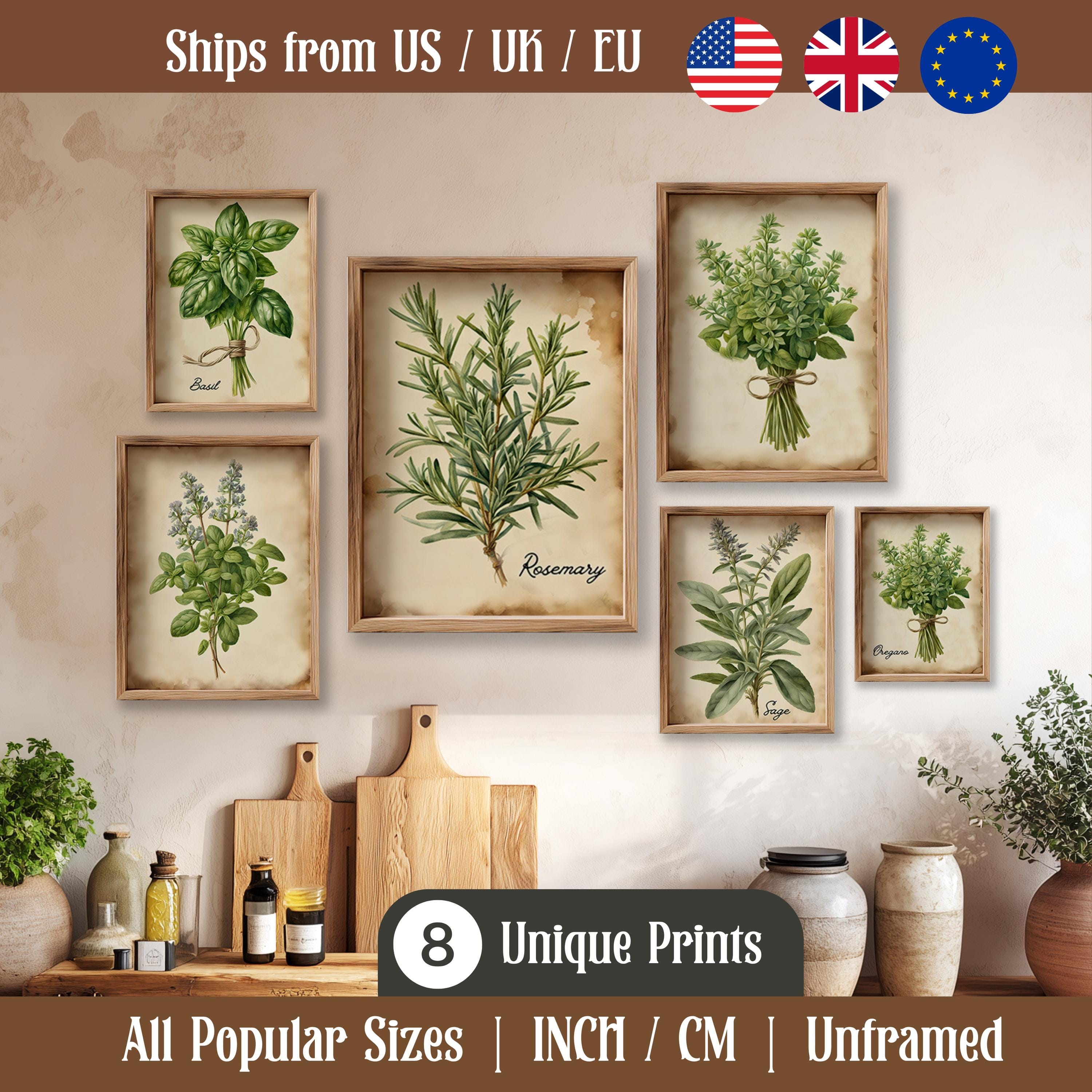 Stampe vintage di erbe aromatiche ad acquerello - Set di quadri rustici per la cucina / Poster artistico antico con rami di erbe aromatiche in stile c