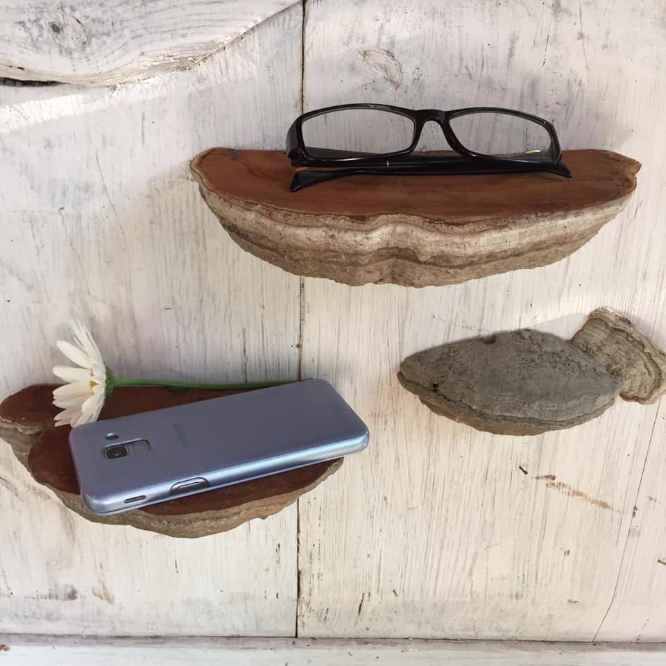 Set 3 mensole a forma di fungo Mensole a forma di fungo Decorazione Cottagecore Mensola da parete a forma di fungo