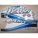 Set di decalcomanie per fuoribordo MERCURY 115 Salt Water. Kit adesivo in vinile MERCURY 115 Due tempi 115 HP 1994-2006. Fatto a mano