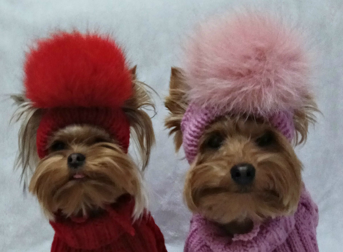 cappello pom pom per cani, cappello lavorato a maglia invernale per cani, cappello da cucciolo, berretti per cani, cappello per cani yorkie