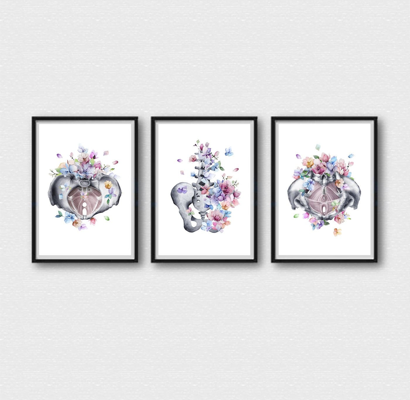 Set di stampe sull'anatomia del bacino, set di 3 poster artistici sui muscoli del pavimento pelvico, arte murale medica, regalo ortopedico per clinica