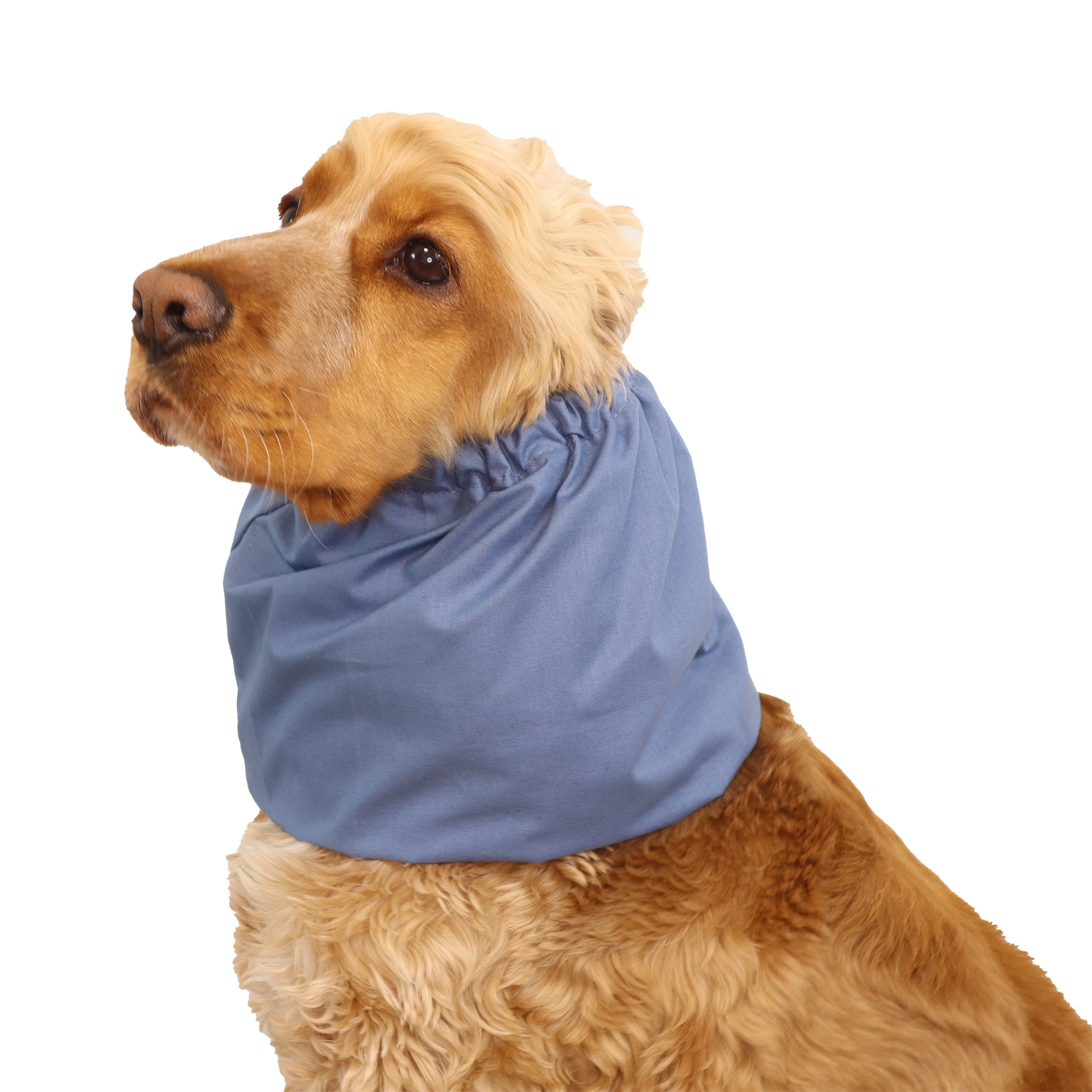 Snood in cotone per cani / Snood fatto a mano in jeans blu per Cocker Spaniel / Snood per Basset Hound / Snood per cani dalle orecchie lunghe / Snood