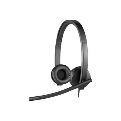 Logitech H570E Usb Stereo Headset, Black