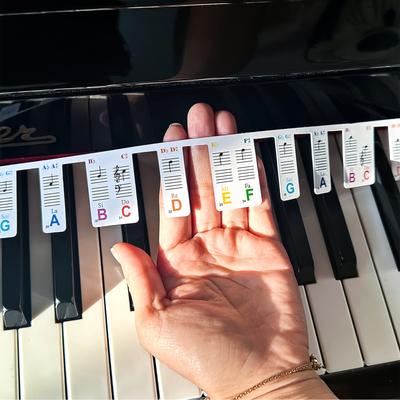 TEMU 1pc Beginner Note Label, /keyboard Note Label, 88 Key Full-size, Suitable For /keyboard 88/61/54/49/37 Keys