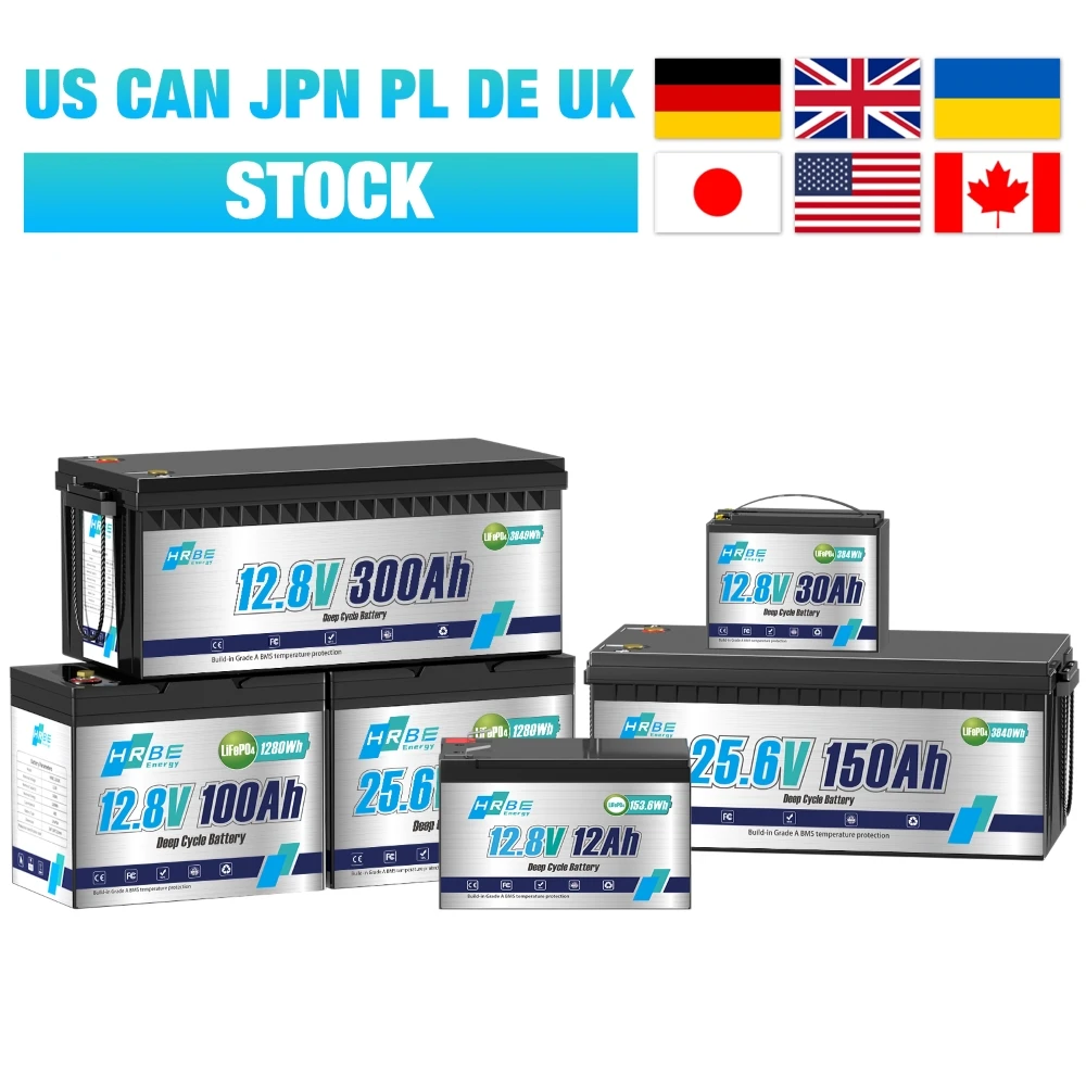 12V 30AH 100AH 300AH 24V 100AH 150AH LiFePo4 Batterie Eingebaute BMS Lithium-Eisenphosphat-Zellen Pack 6000 Zyklen für Wohnmobil, Solar, Boot Image