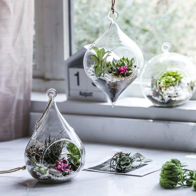 TEMU Glass Hanging Terrarium Set Of 3in Large Size- Succulent/moss/air Plant Terrarium - 3pcs In Different Shape