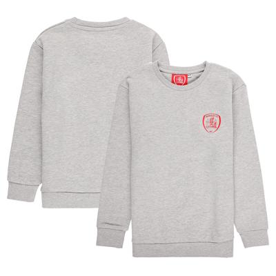 Barnsley Sweatshirt – Grau meliert – Jungen Image
