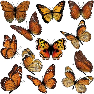 Mangocraft Various Beautiful Butterfly Clear Stamp DIY Scrapbooking Supplies Silicone Stamp For Card