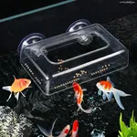 Anneau d'alimentation pour poissons, 1 pièce, Station d'alimentation pour Aquarium, plateau