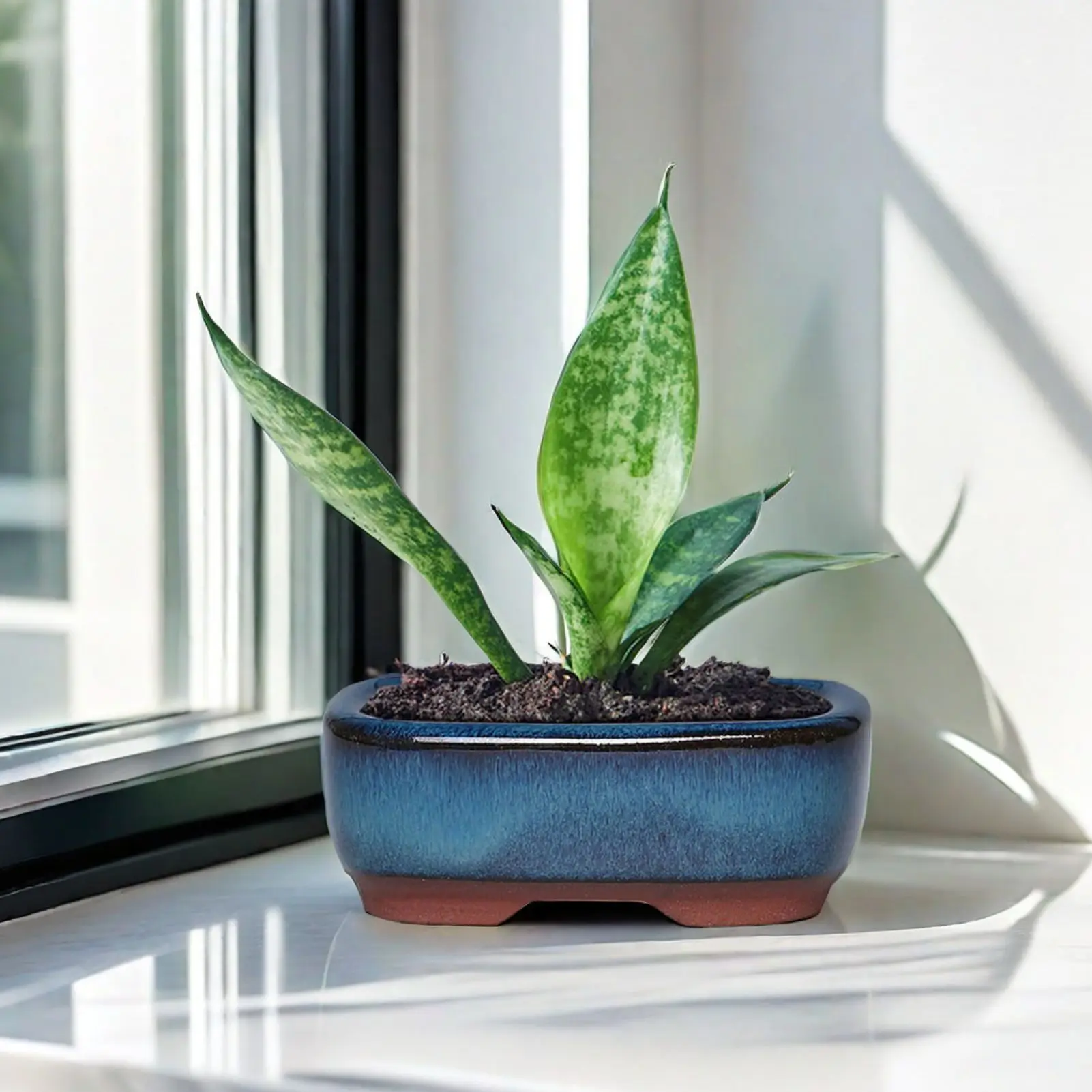 Mini-Bonsai-Töpfe im chinesischen Stil, atmungsaktiv, saftiger Blumentopf mit Löchern, Keramik-Bastel-Blumentopf, Pflanzgefäß für den Schreibtisch zu Hause Image