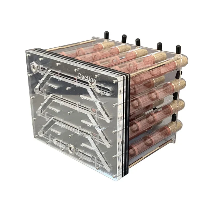 20 Stück 25–200 mm Bambus-Reagenzglas Ant Farm DIY Acryl Ant House Bambusrohr Nest Anthill Workshop Insect Castle Befeuchtung Image