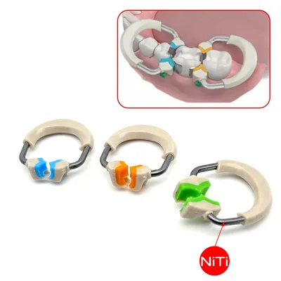 Dental Sectional Matrix System Matrices Clip Ring Matrix Bands Dentistry Instrument Tool
