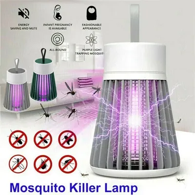 Pest+Control