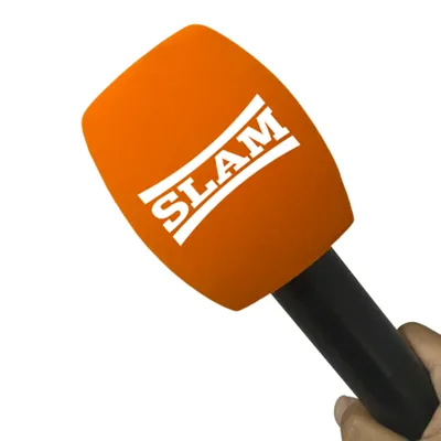 Customized Flocking Mic Songe Printing Mark Microphone Windscreen Logo Windsshield For TV Stations