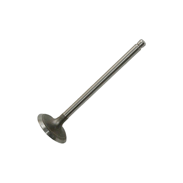 AE Einlaßventil BMW,MINI,ALPINA V95040 11127797711 Image