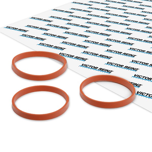 REINZ Dichtungssatz, Ansaugkrümmer OPEL,TOYOTA,PEUGEOT 11-11551-01 1608733780,3645962,SU00101099 Image